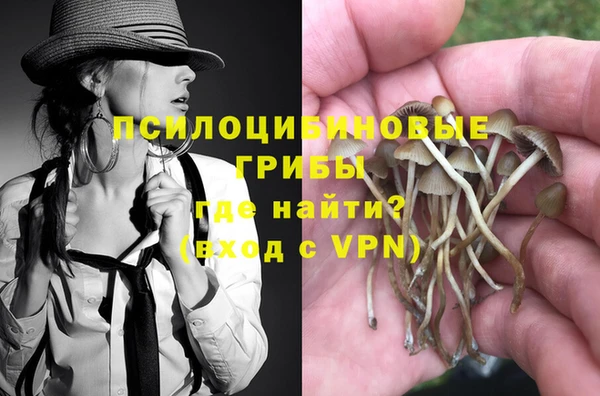 apvp Алексин