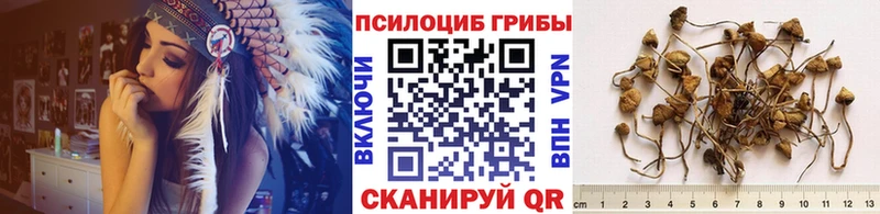 Галлюциногенные грибы прущие грибы  Анива 